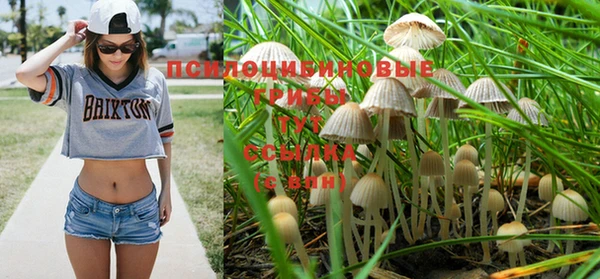 прущая мука Кодинск