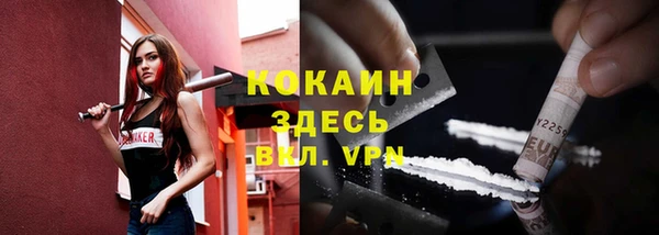 прущие крисы Корсаков